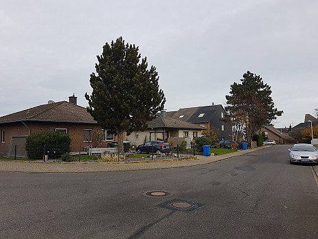 D�ren Hoven, Wechselsaat Abzweigung Am Steinberg