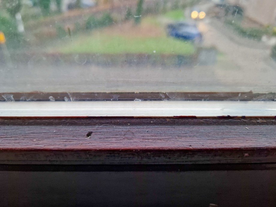 Holzfenster Mehrfamilienhaus D�ren