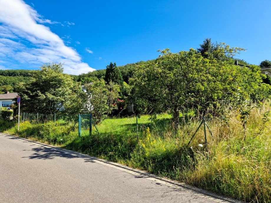 in Heimbach Hasenfeld Wohngrundst�ck Heimbach