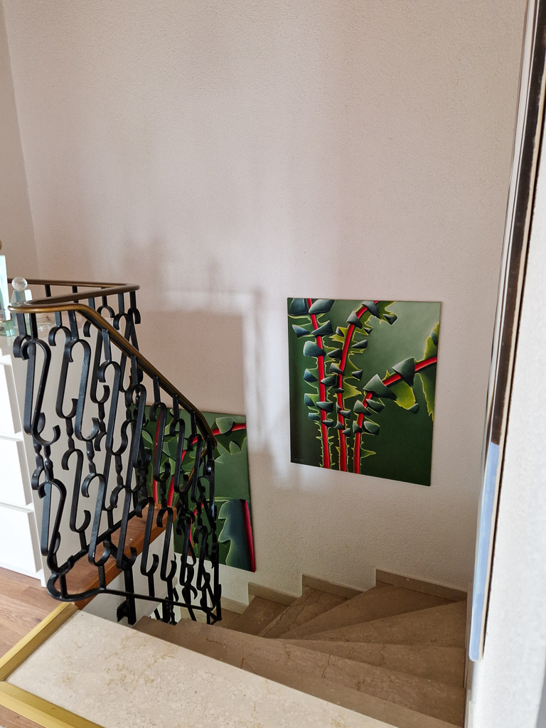 nach unten Doppelhaush�lfte D�ren