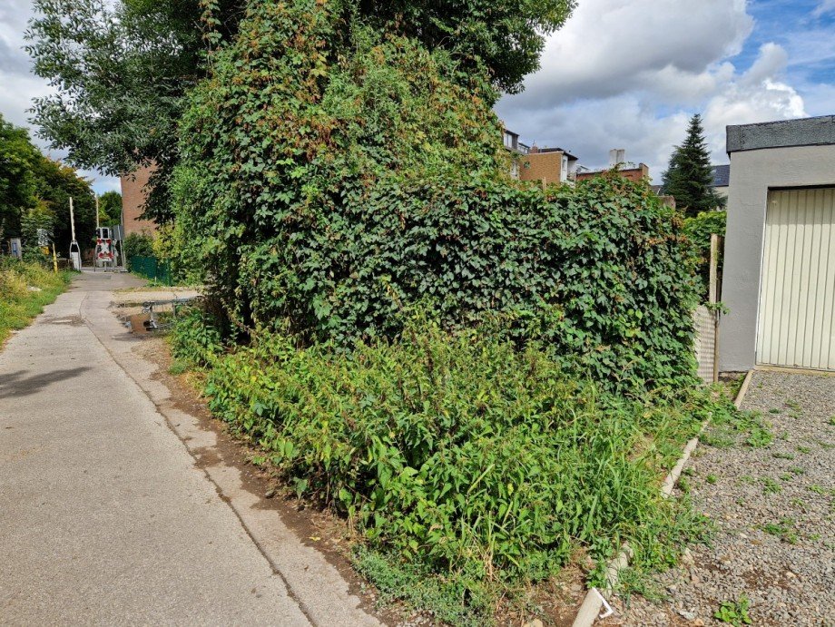 Ende des Grundst�cks zum Rurdammweg Mehrfamilienhaus D�ren