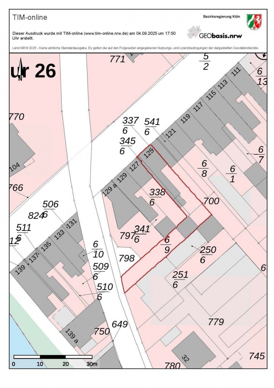 Flurkarte timonline mit rot markierten Grundst�cksgrenzen Zweifamilienhaus D�ren