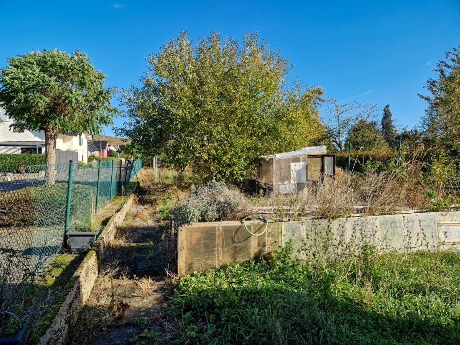 Garten Reiheneckhaus Niederzier