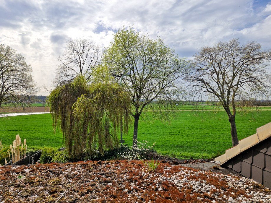 mit Aussicht zum Feld Doppelhaush�lfte D�ren